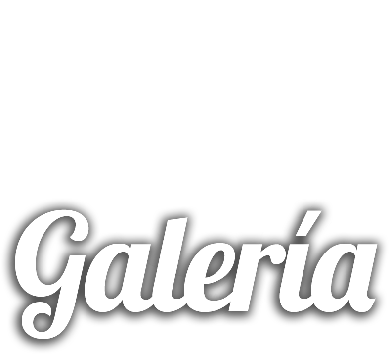 Boton galeria