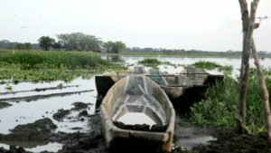 Canoas artesanales